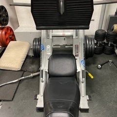 ノーチラス 45度レッグプレス Nautilus Xpload Series P3ILP