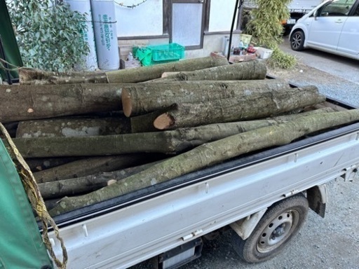 未乾燥、玉切りした広葉樹、薪、軽トラ平積み