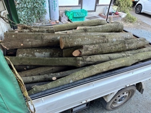 未乾燥 生の広葉樹 杉 ヒノキの丸太 薪 軽トラ平積み