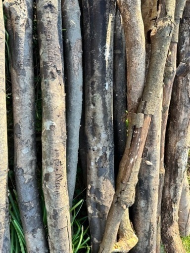 未乾燥 生の広葉樹 杉 ヒノキの丸太 薪 軽トラ平積み