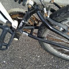 自転車　アメリカンイーグル