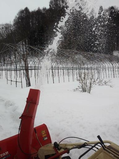 除雪機　スター農機　HTK 8050 除雪機 スター農機 HTK 8050