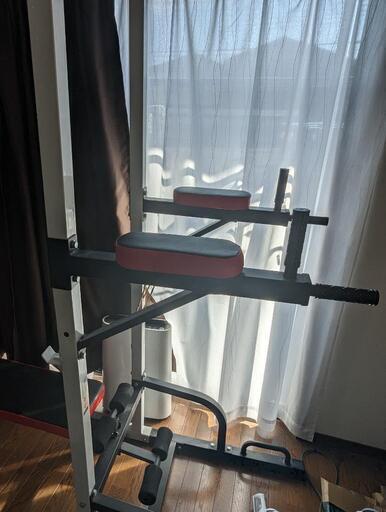 WASAI(ワサイ) ぶら下がり健康器 マルチ筋トレ 懸垂 ベンチ WASAI(ワサイ) ぶら下がり健康器 マルチ筋トレ 懸垂 ベンチ