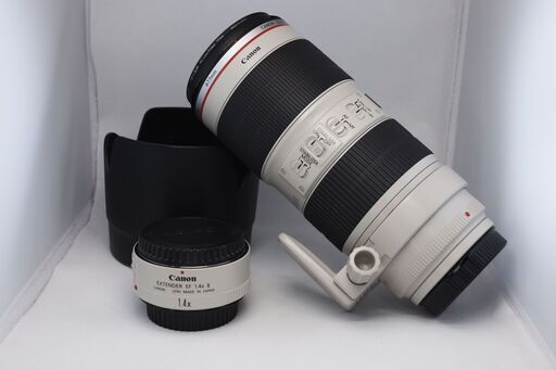 Canon EF70-200mm F2.8L IS II + Extender 1.4x II | tintasmarfim.com.br