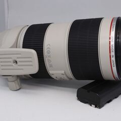 Canon EF70-200mm F2.8L IS II + Extender 1.4x II