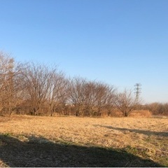 庭、空地、田畑の草刈り