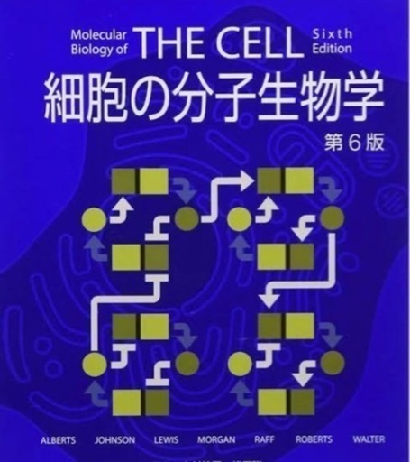 分子生物学