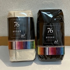 【ネット決済・配送可】油性色鉛筆 76本セット　白黒ケースセット
