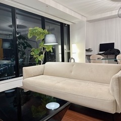 正規品 美品 ボーコンセプト 廃盤 ローテーブル