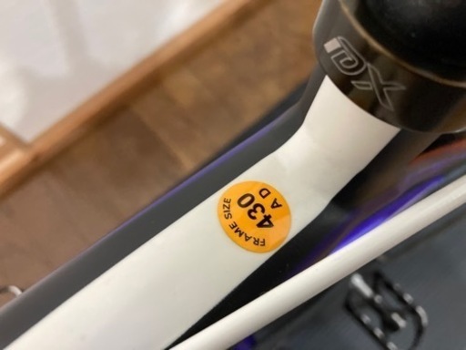 ロードバイク ガノーrhc 【値引きしました】 GARNEAU ルイガノ ロード