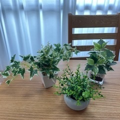 観葉植物（フェイク）3個セット！バラ売り場可！