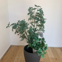 フェイクグリーン、観葉植物（背丈高め）