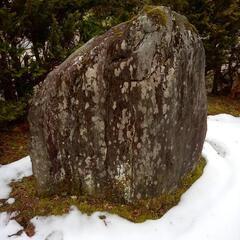 庭石差し上げます