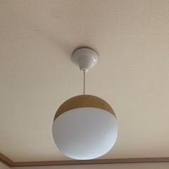 ドングリの照明器具