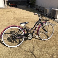 子供用自転車　BRIDESTONE ワイルドベリー24インチ