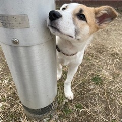 急募🆘まだ決まっていません。