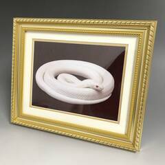 KI15/87 水晶院 お金を呼ぶ白蛇様 額装 阿蘇白水龍神權現 祈願