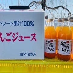 【ネット決済・配送可】【青森県産】果汁100%りんごジュース12本