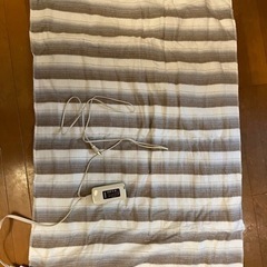 電気毛布【ダニ退治にも使えます！】