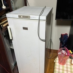 冷凍庫Electrolux 終了