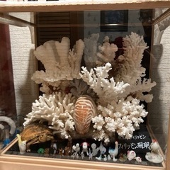 フィリピン珊瑚の飾り