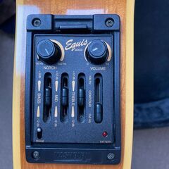 WASHBURN EA26 1996 CRAIG CHAQUICO SIGNATURE EQUIS PREAMP アコースティックギター