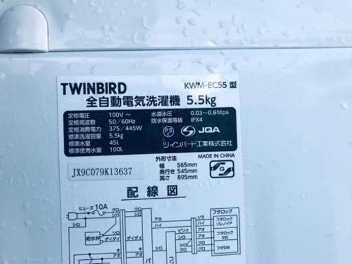 ✨2019年製✨ 2978番 TWINBIRD✨電気洗濯機✨KWM-EC55‼️