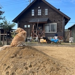 サーフィン・supサーフィンやりたい人募集〜〜！千葉県九十九里