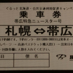 【ネット決済】帯広特急ニュースター号 往復券 3月31日まで