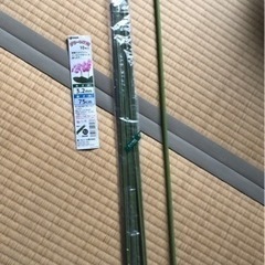 【受渡者決定】グリーン鉄線　植物　支柱
