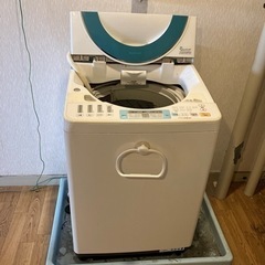 ペット用品の洗濯なら使えそうな洗濯機