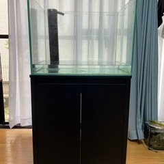 オーバーフロー水槽 60cm ワイド オーバーフロー水槽 60cmワイド