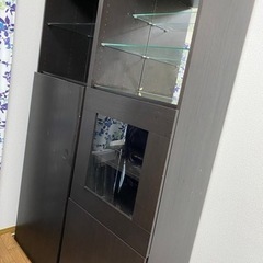 本棚 キャビネット 濃茶 IKEA イケア ベストー Besta...