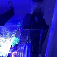 海水水槽機材、サンゴ等