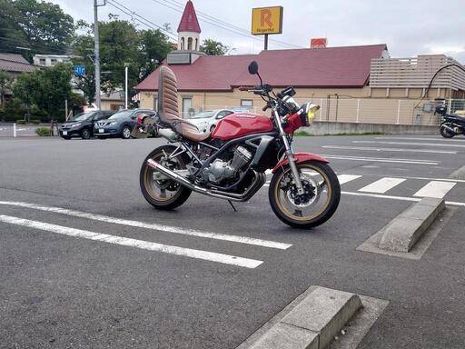バリオス250　カスタム