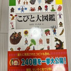 絵本　こびと大図鑑　新品