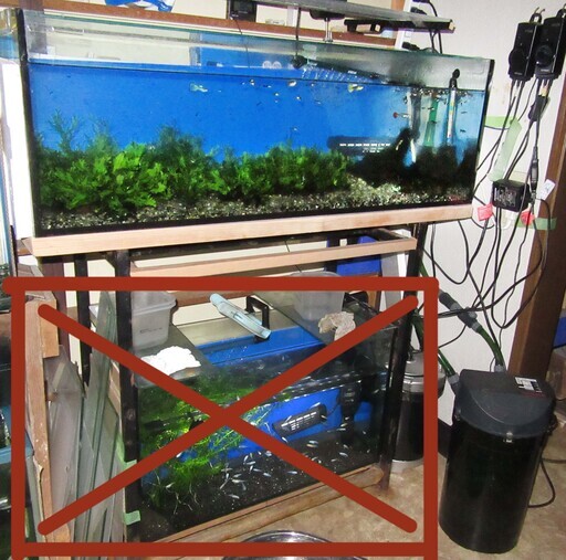 90cm水槽とろ過き魚フルセットです。 【公式通販】