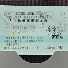 HOKKAIDO LOVE！6日間周遊パス【3/17～3/20】...