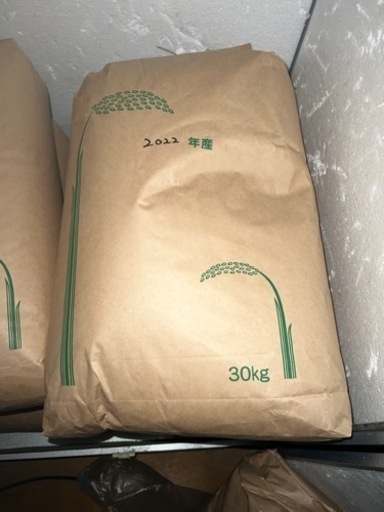 2022年(令和4年)産米 なつほのか 30kg ⑤