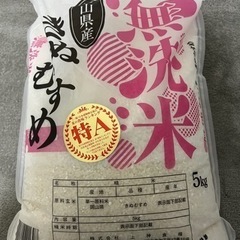【ネット決済】米 きぬむすめ 無洗米  5kg