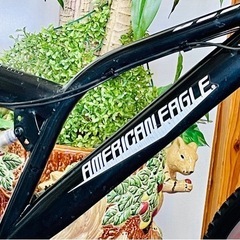 [受付終了]致しました Wサス 安定感抜群 AMERICAN ERGLE  3X6 18段式  26インチ