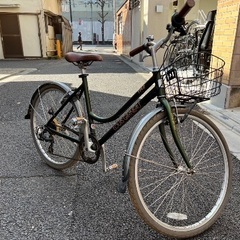 　ルイガノ自転車
