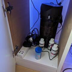 ada dooa　海水魚　セット