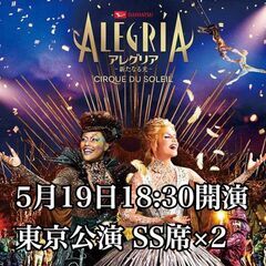 【ネット決済・配送可】アレグリア チケット 5月19日 SS席2枚