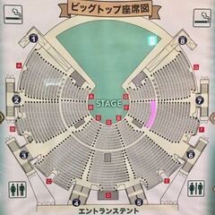 アレグリア チケット 5月19日 SS席2枚