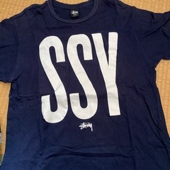 LサイズSTUSSYTシャツ