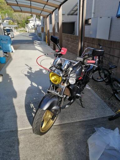 kawasaki バリオス1型250cc