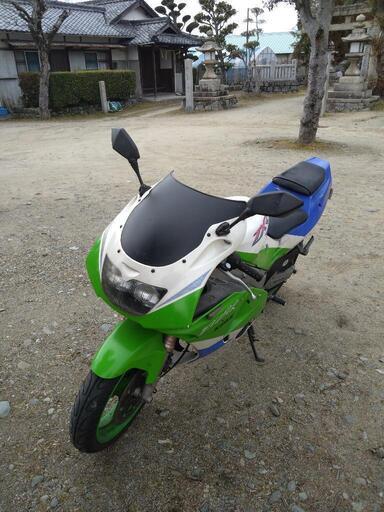 希少車ZXR250R 【公式通販】