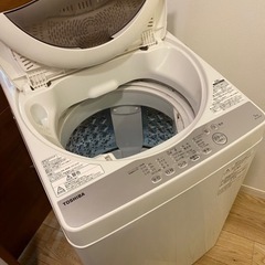 配送設置可能‼️2019年製✨美品⭐️TOSHIBA 全自動洗濯機5kg⭐️洗濯機⭐️リユース家電⭐️中古家電
