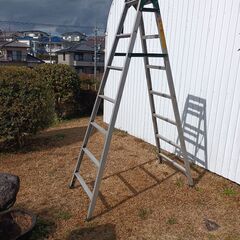 【ネット決済】脚立梯子兼用　210cm
